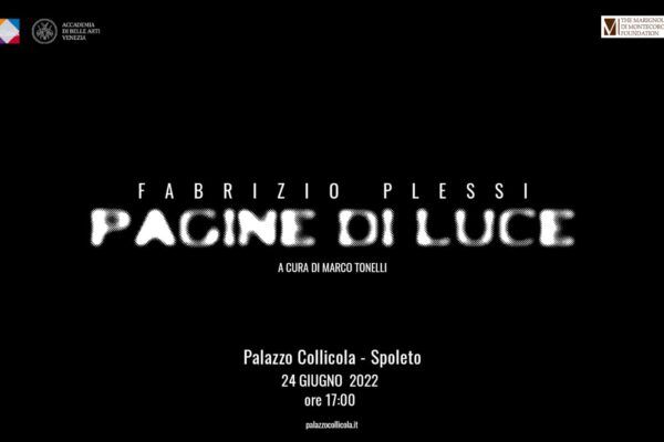 FABRIZIO PLESSI: pagine di luce