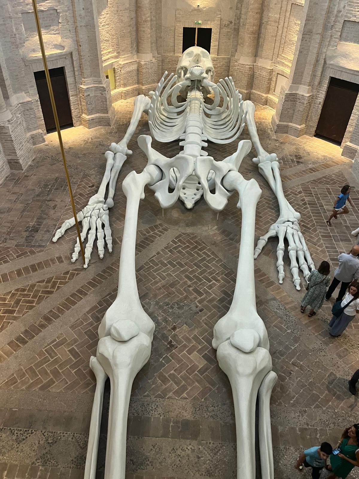 Visita guidata 7 settembre 2024
