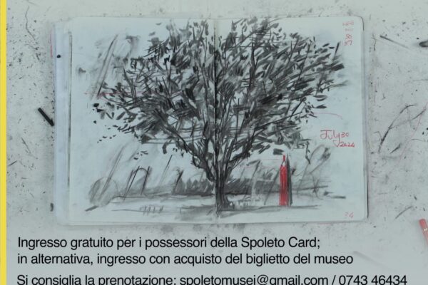 Domenica 11 gennaio visita guidata a Palazzo Collicola