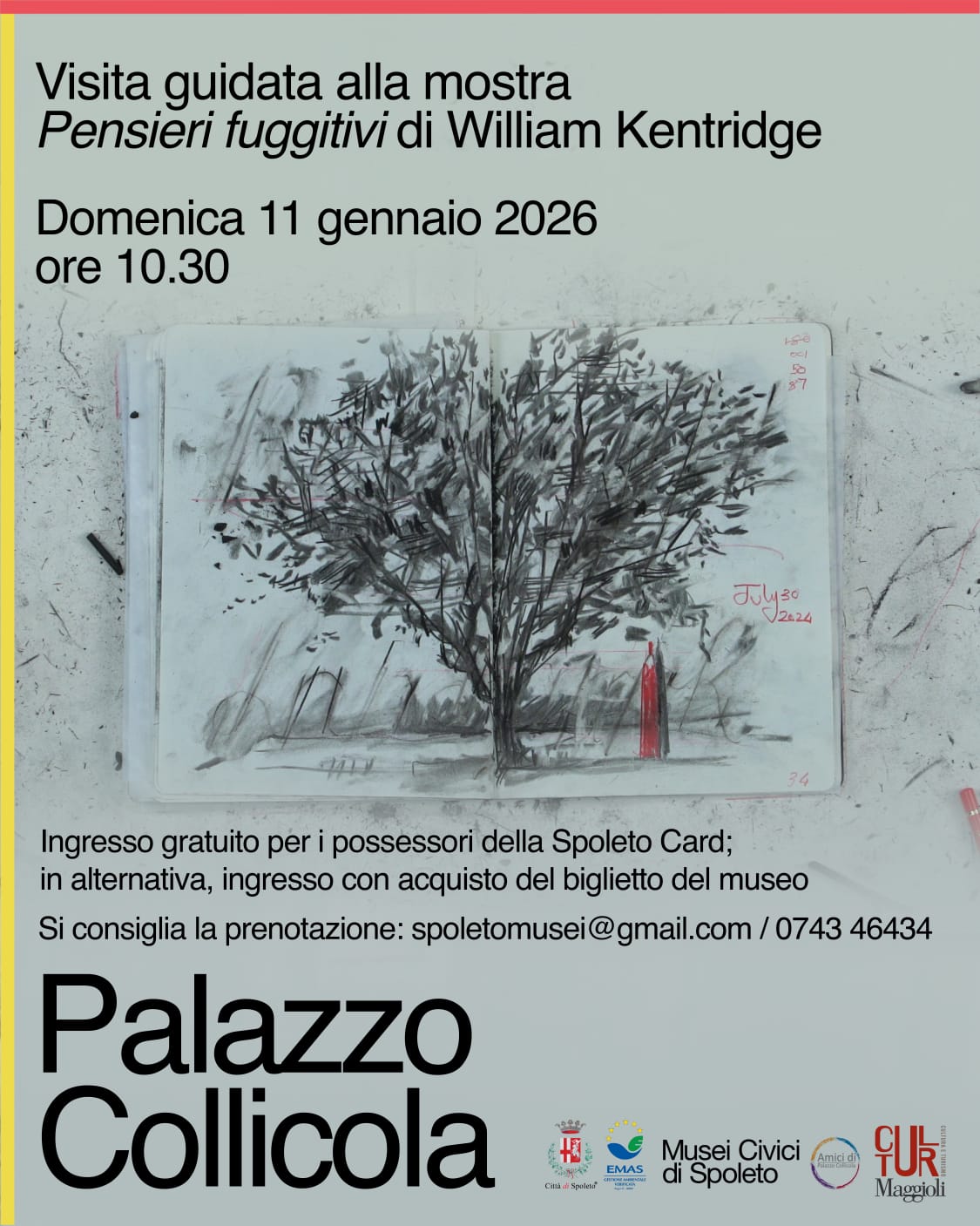 Domenica 11 gennaio visita guidata a Palazzo Collicola